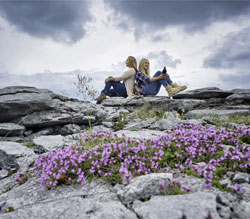 The Burren, County Clare, Ireland