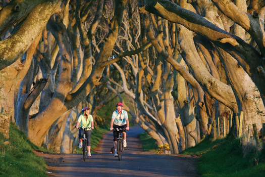 Dark Hedges County Antrim